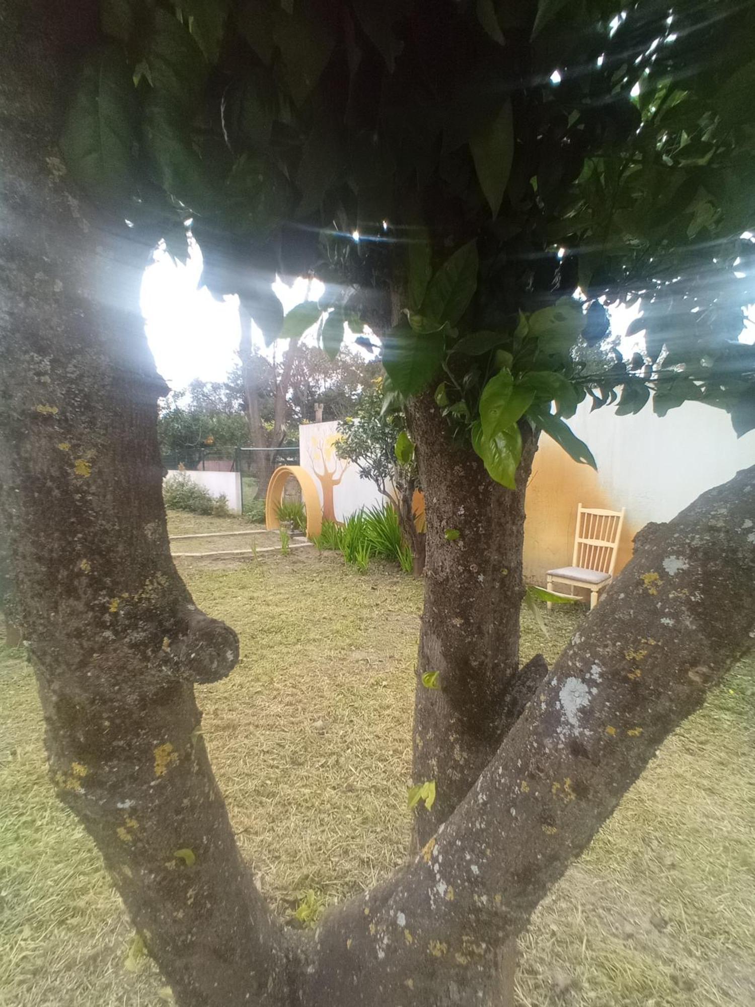 O Mundo Da Lua Villa Azeitao Ngoại thất bức ảnh