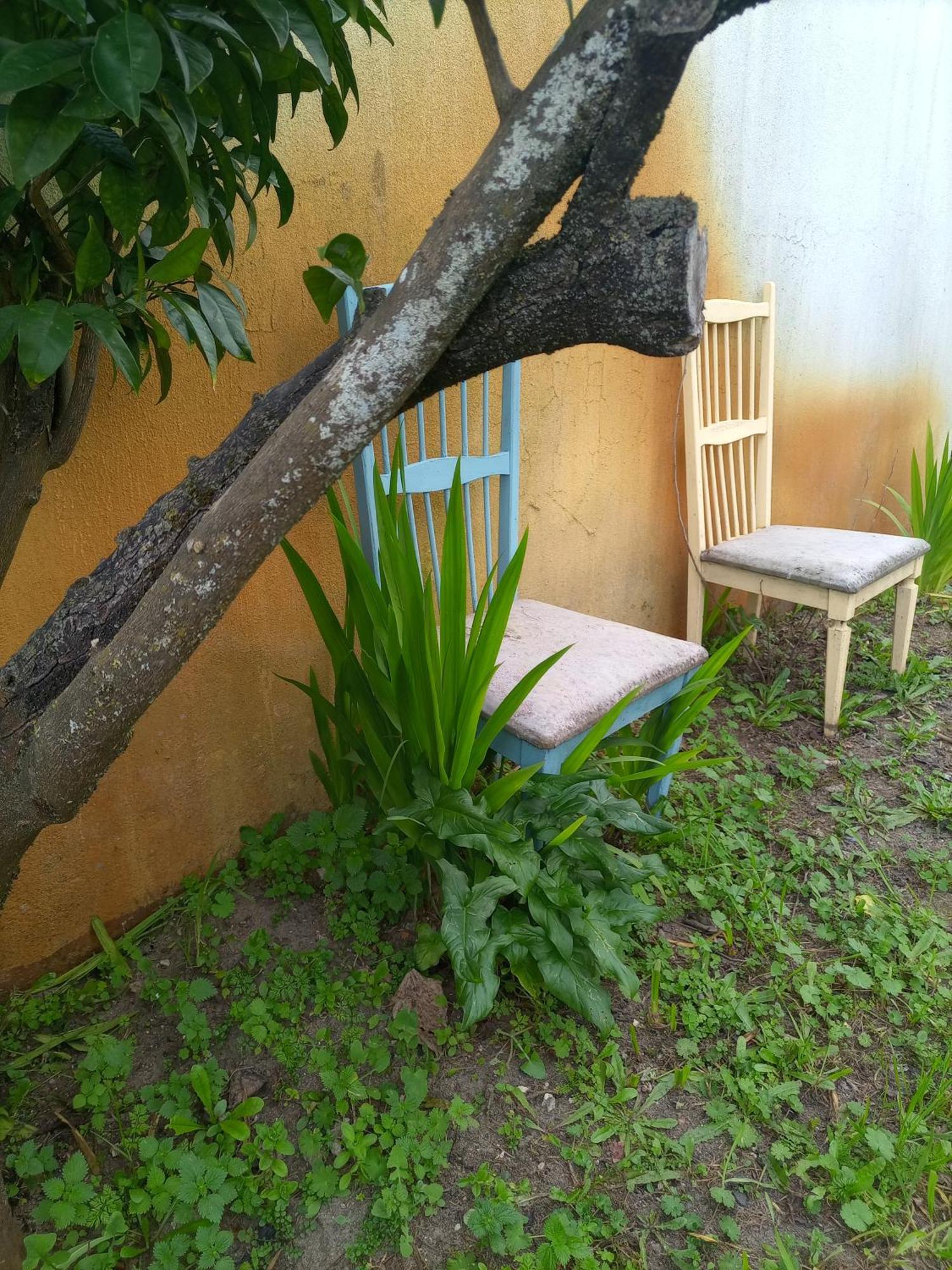 O Mundo Da Lua Villa Azeitao Ngoại thất bức ảnh
