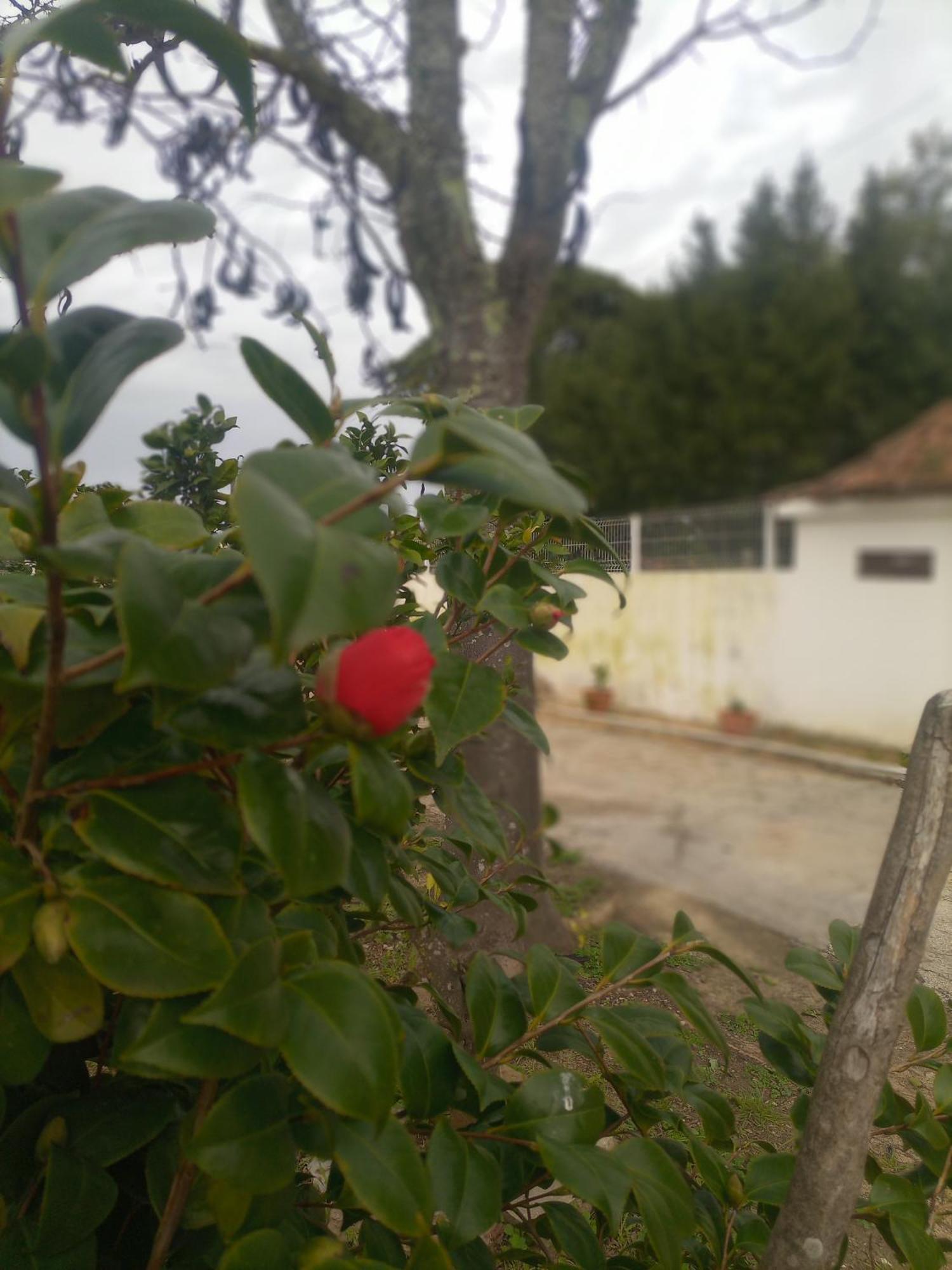 O Mundo Da Lua Villa Azeitao Ngoại thất bức ảnh