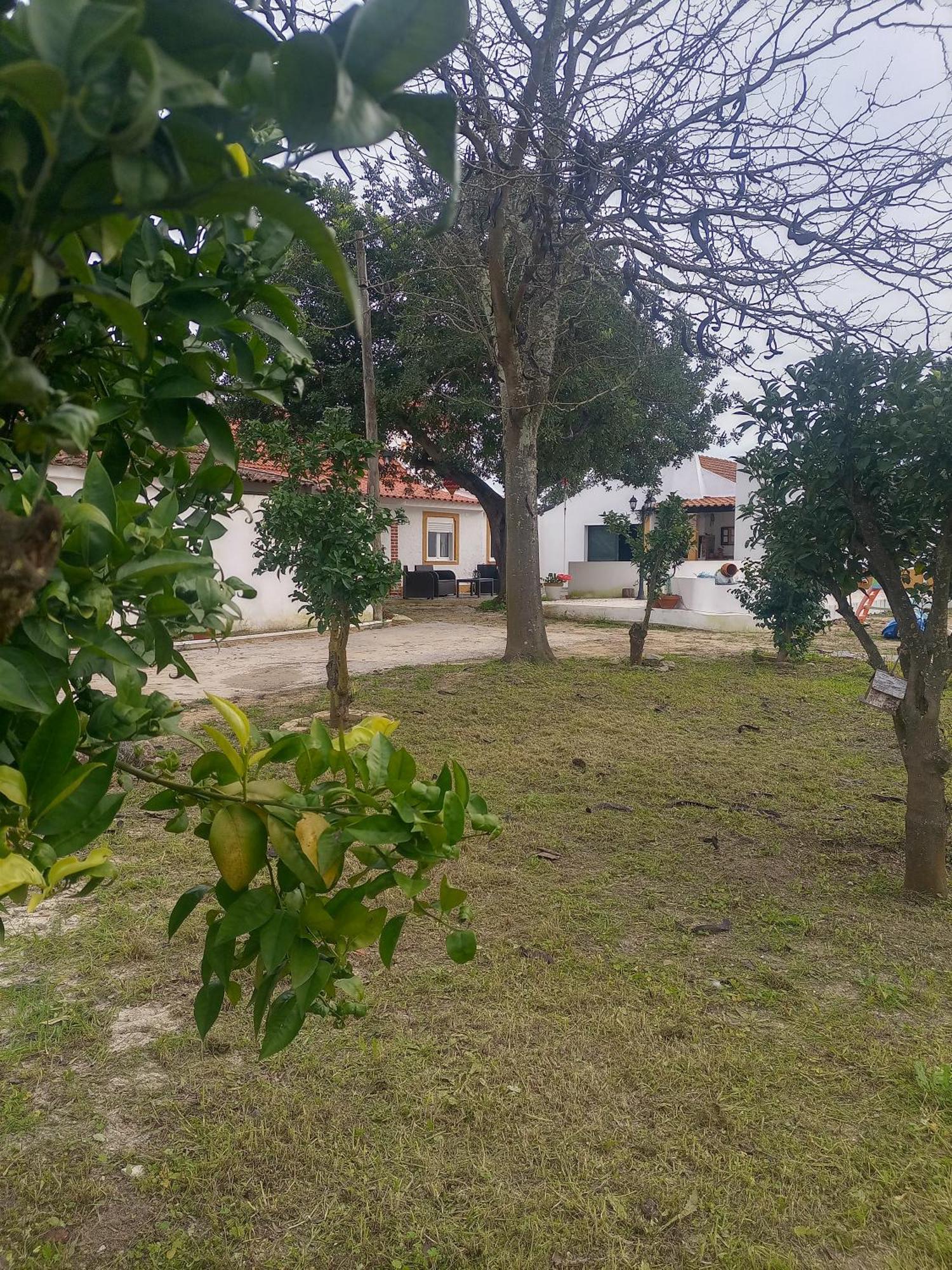 O Mundo Da Lua Villa Azeitao Ngoại thất bức ảnh