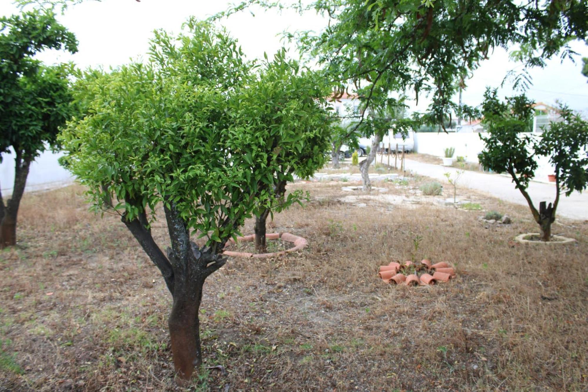 O Mundo Da Lua Villa Azeitao Ngoại thất bức ảnh