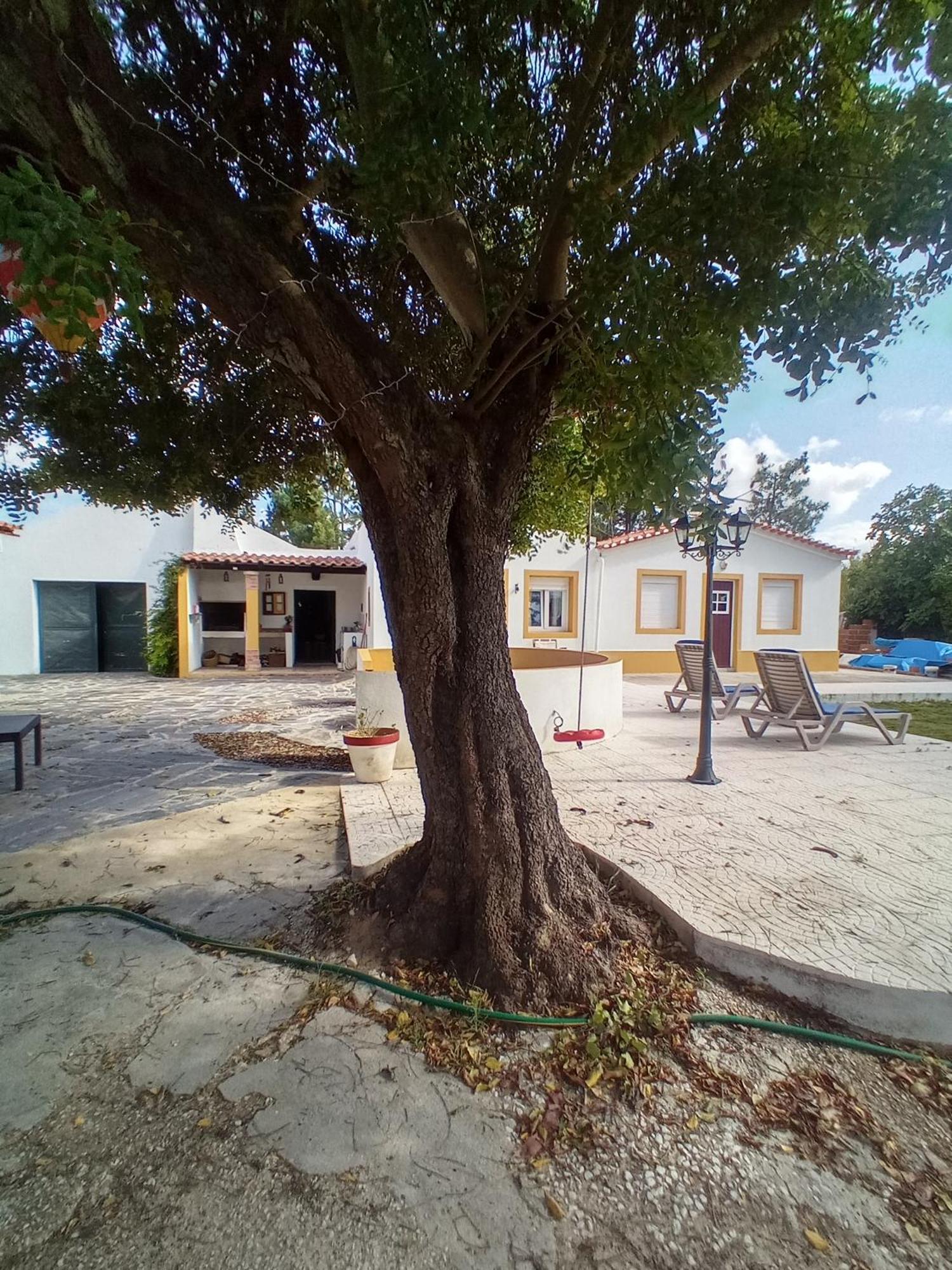 O Mundo Da Lua Villa Azeitao Ngoại thất bức ảnh